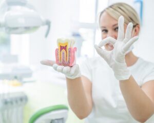 Woman holding tooth model with okay hand sign